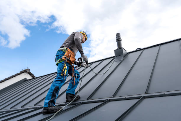 Best Metal Roofing Installation  in North Branch, MI